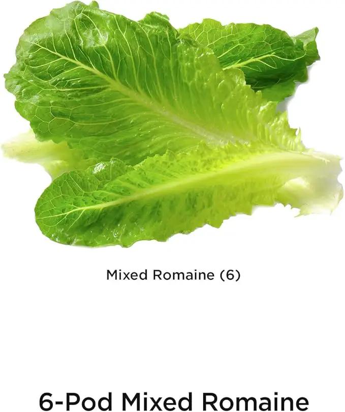 AeroGarden Mixed Romaine Lettuce Seed Pod Kit (6-pod) by GreenHaven Gardens