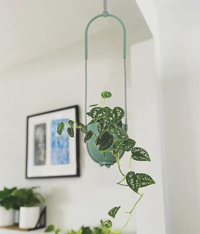 Metal Hanging Planter for Indoor Outdoor Plants Modern Wall and Ceiling Hanging Plant Holder Boho Flower Pot Hanger for Vines Succulents Ferns Room Decor(Green) by GreenHaven Gardens