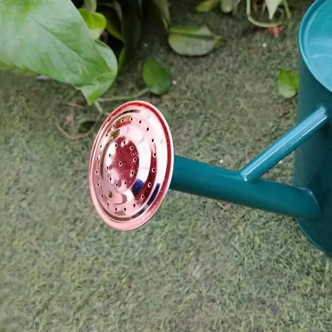 Steel Watering Can Sliver Galvanized Steel Watering Can with Copper Accents,Removable Rosette-Diffuser,One-Gallon Green by GreenHaven Gardens