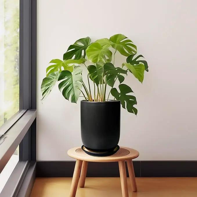 Ceramic Planter 8 Inch - Plant Pot for Indoor Outdoor Plants Cylinder Flower Pot with Drainage Hole and Saucer Black by GreenHaven Gardens