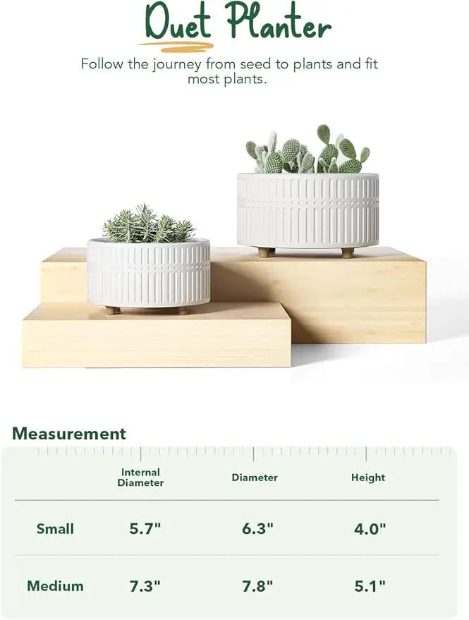LE TAUCI Succulent Pots, 6.5+8 Inch Ceramic Indoor Plant Pot with Drainage Hole, Modern Round Decorative Flower Pot, Set of 2, Matte White by GreenHaven Gardens