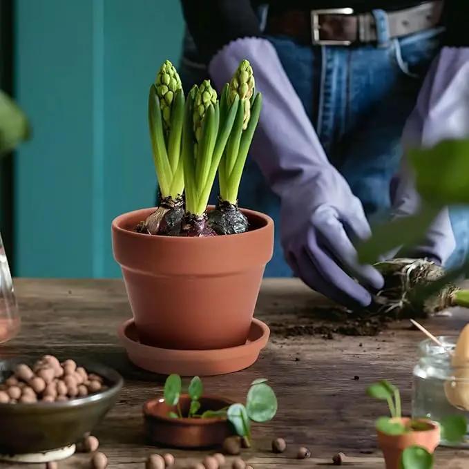 6 PCS Clay pots and Plates, 5-inch red Clay pots with Drainage, Perfect for Indoor, windowsill, and Garden Plants by GreenHaven Gardens
