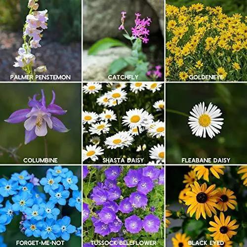Rocky Mountain Wildflower Seeds Mix - 1 Lb Seed Pouch - 22 Wild Flower Seed Varieties - Annuals, Perennials and Bi-Annuals - Flower Garden by GreenHaven Gardens