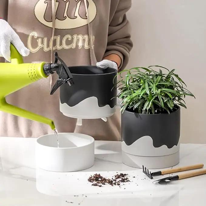 Nihow Self Watering Plant Pot: 6 Inch Ceramic Planter with Drainage Hole & Water Storage Plus for Indoor & Outdoor Plants - Cylinder Round Flower Pot for Succulent/Herbs/Violets - Black & Wave White by GreenHaven Gardens