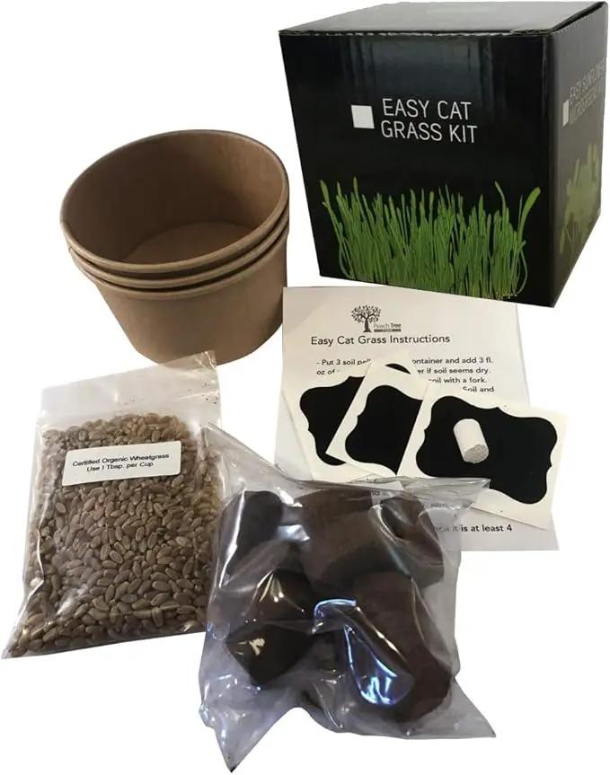 Easy Cat Grass Kit (3 Pack) Just Add Water. Includes Certified Organic Non GMO Wheatgrass Seed, Fiber Soil, Cups Chalkboard Labels. Your Pets Will Love This by GreenHaven Gardens