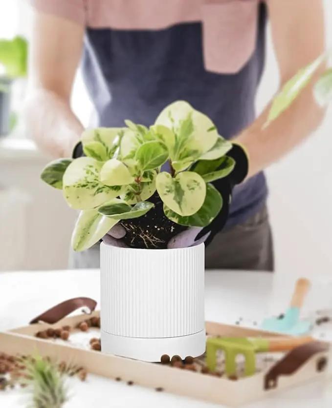 LaDoVita 3 Pack Ceramic Plant Pots 6/5/4 inch, Flowerpot for Indoor Plants with Drainage Holes and Tray, Outdoor Garden Planters, Modern Decorative for Home, White Vertical Stripes by GreenHaven Gardens