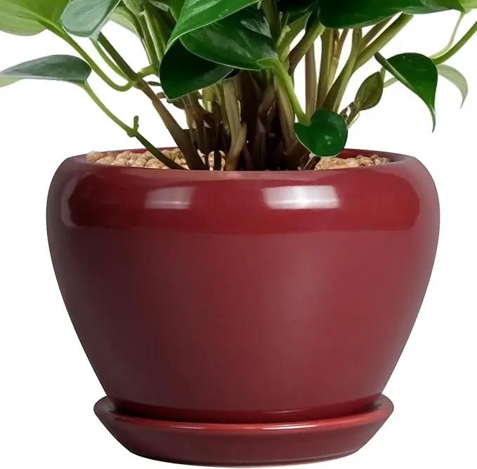 Ceramic Pot for Plants - 6 Inch Plant Pot Indoor with Drainage Hole and Saucer Succulent Pot Outdoor Planter Round Flower Pot for House Patio Decor Red by GreenHaven Gardens