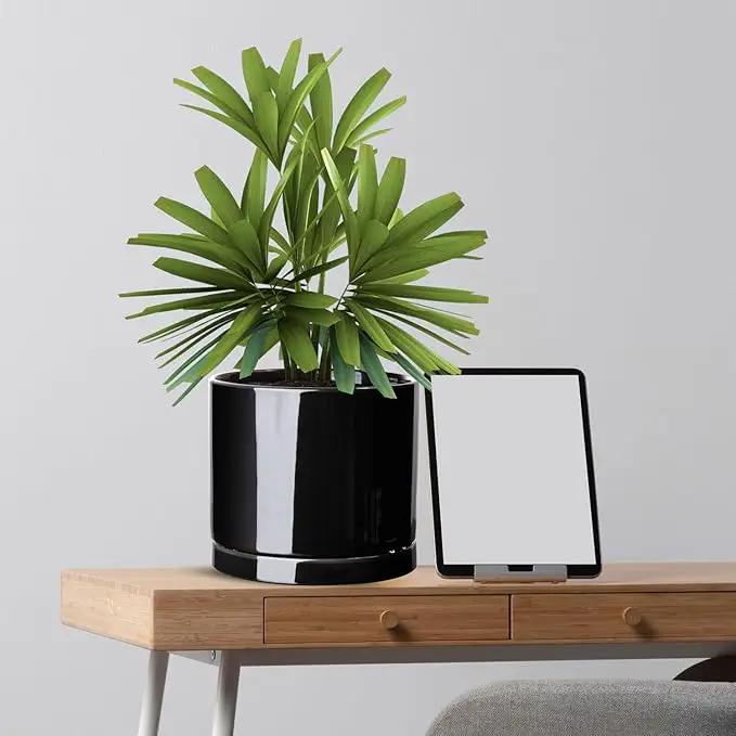 Aveyas 8 inch Ceramic Plant Pot with Drainage Hole and Saucer - Suitable for Indoor and Outdoor Use, Modern Planters for House Garden Flower Tree Snake Monstera Plants (8", Glossy Black) by GreenHaven Gardens