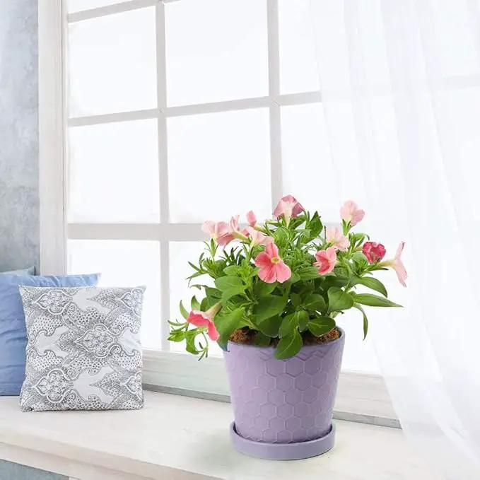 Plant Pots Indoor –5 in Ceramic Flower Pot with Drainage Hole and Ceramic Tray - Gardening Home Desktop Office Windowsill Decoration Gift, Set of 4 - Plants Not Included(Purple) by GreenHaven Gardens