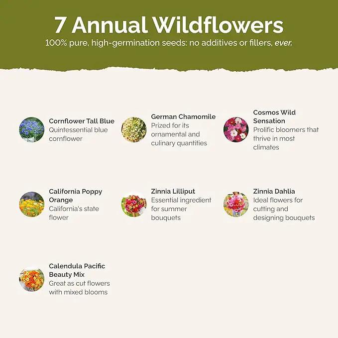 Eden Brothers Field Day Flower Mixed Seeds for Planting, 5 lb, 2,400,000+ Seeds with Zinnia Lilliput, Calendula Mix | Attracts Pollinators, Plant in Spring or Fall, Zones 3, 4, 5, 6, 7, 8, 9, 10 by GreenHaven Gardens