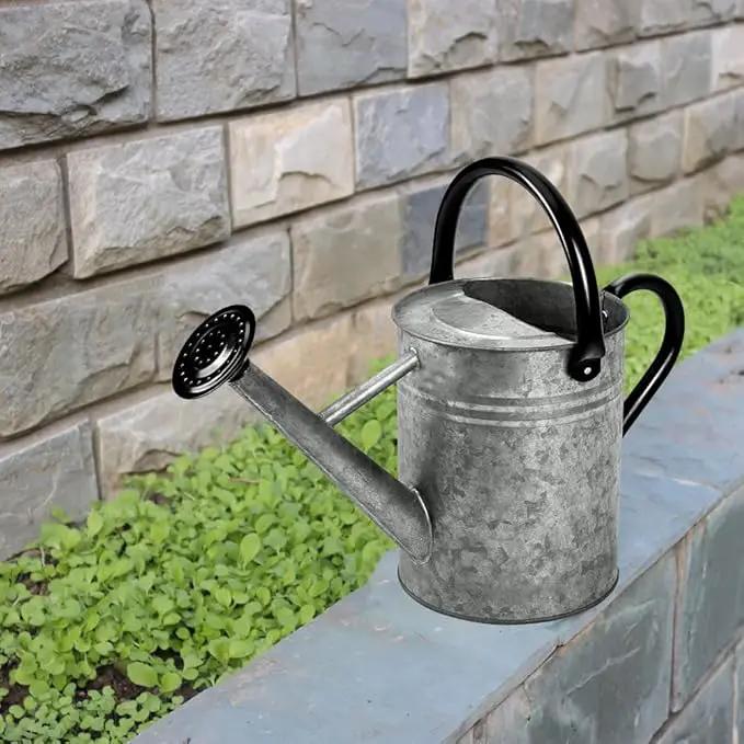 Metal Watering Can, One Gallon Watering Cans Stainless Steel for Outdoor Indoor Garden Plants Watering (Silver 1 Gallon) by GreenHaven Gardens