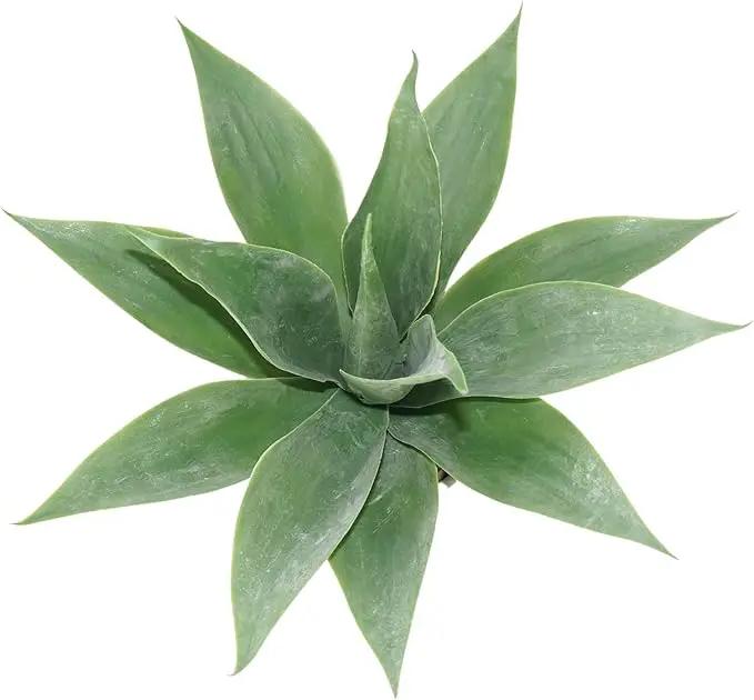 Artificial Potted Plants, 13.8" Artificial Succulent Fake Aloe, Large Faux Aloe Plant in Pot for Home Office Room Badroom Garden Decor (Grey) by GreenHaven Gardens