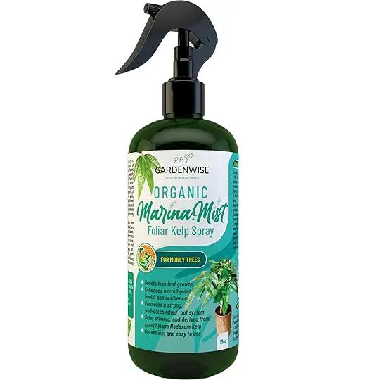 Organic Marina Mist Foliar Spray for Money Tree | Liquid Fertilizer | Micro Nutrients for Vital Health | Liquid Plant Food (16 OZ) by GreenHaven Gardens