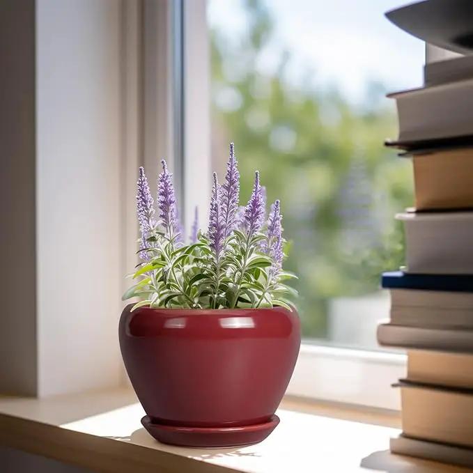 Ceramic Pot for Plants - 6 Inch Plant Pot Indoor with Drainage Hole and Saucer Succulent Pot Outdoor Planter Round Flower Pot for House Patio Decor Red by GreenHaven Gardens