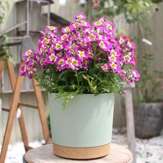 ZMTECH Plant Pots, Set of 3 8'' Self Watering Plastic Planter with Drainage Hole and Saucer, Modern Decorative Flower Pot for Indoor Outdoor House Plants, Succulents, Flowers - Green by GreenHaven Gardens
