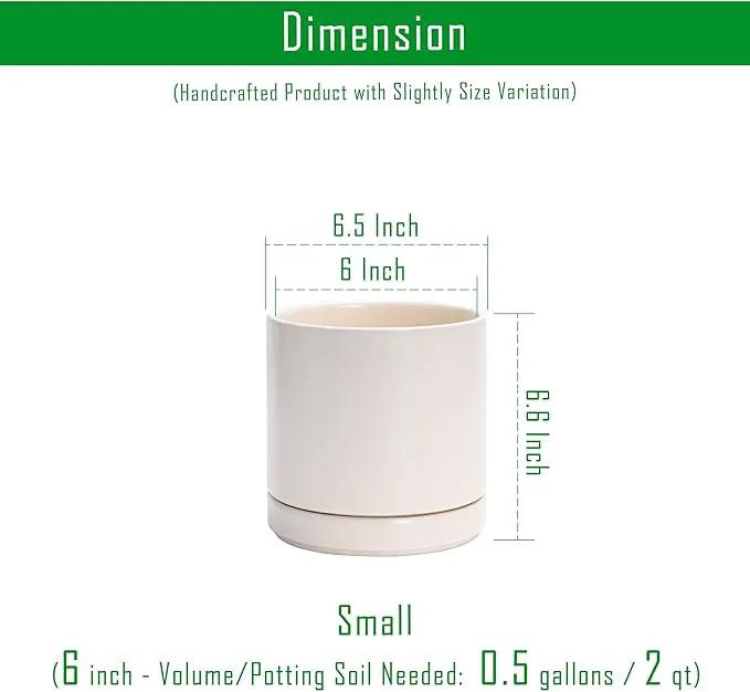 D'vine Dev Set of 2 Plants Pots, 6.5 Inch Ceramic Planter Pot for Plants with Drainage Hole and Saucer, Oatmeal, 94-V-C-8 by GreenHaven Gardens
