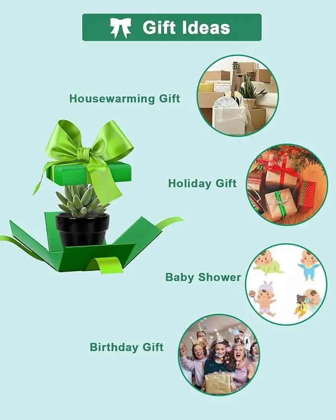 vensovo 48 Pcs 2" Tiny Ceramic Plant Pots with Drainage Hole - Black Small Mini Ceramic Pottery Planter Ideal for Indoor/Outdoor Plants, Crafts, Wedding Favors by GreenHaven Gardens