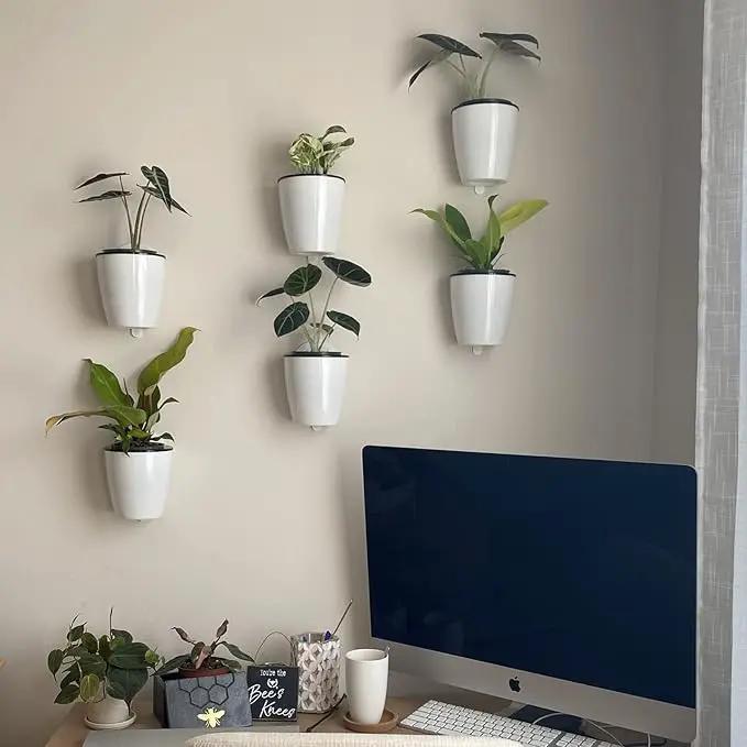8 Packs 5" Plastic Self Watering Pots Wall Hanging Planters Wall Mounted Wicking Flower Pots for Indoor and Outdoor African Violet, Ocean Spider Plant, Orchid, White by GreenHaven Gardens