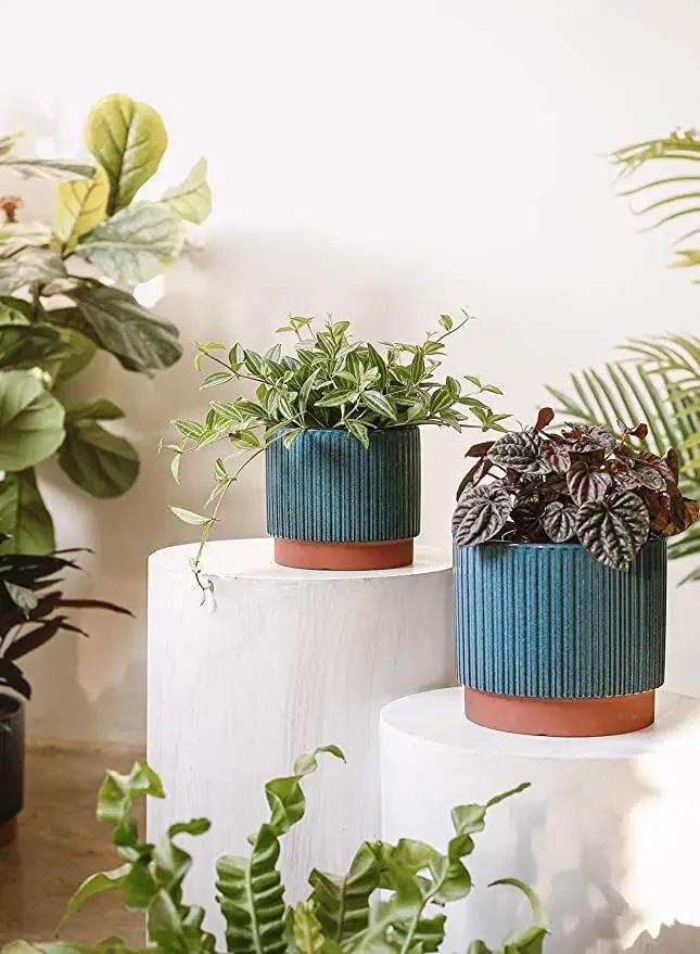 LE TAUCI Ceramic Pots for Plants, 8+6.7+5.5 Inch Plant Pots Indoor, Flower Pot with Drainage Holes, Medium Cylinder Planters for Indoor House Plants, Set of 3, Blue by GreenHaven Gardens