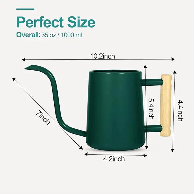 Watering Can Indoor Plants, 35 oz/1000 ml Metal Stainless Steel Watering Can Pot with Long Spout for Indoor House Plants Bonsai Outdoor Garden Flower Decorative (Alpinegreen) by GreenHaven Gardens