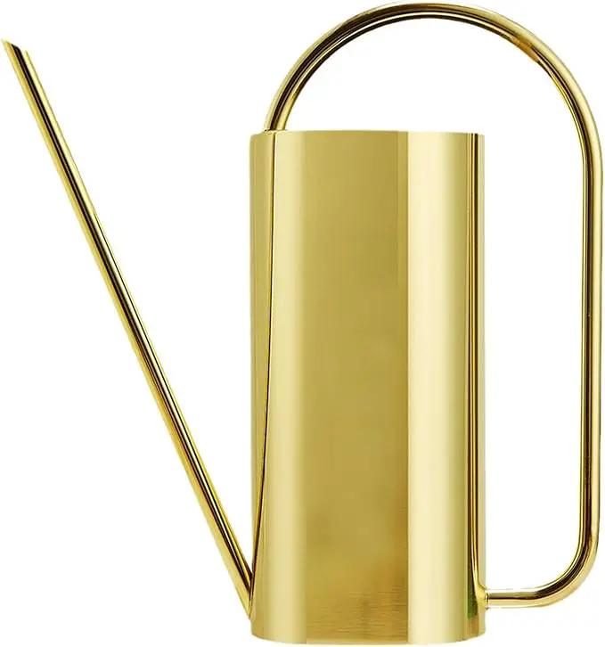 Watering Can for Indoor Plants, 50 oz/1.5L Stainless Steel Watering Can Pot with Long Spout, Garden Watering Cans with Comfortable Handle for Indoor House Plants Bonsai Flower Decorative by GreenHaven Gardens