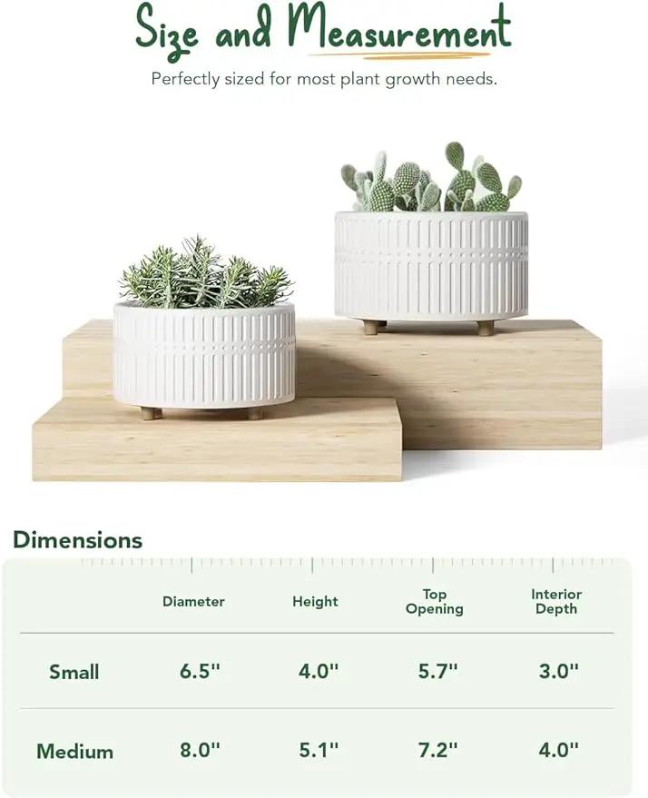 LE TAUCI Succulent Pots, 6.5+8 Inch Ceramic Indoor Plant Pot with Drainage Hole, Modern Round Decorative Flower Pot, Set of 2, Matte White by GreenHaven Gardens