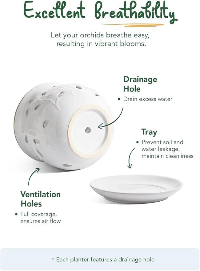 LE TAUCI Ceramic Orchid Pot, 6.5 Inch Orchid Pots with Holes, Orchid Planter for Repotting, Indoor Flower Plant Pot with Drainage and Saucer, White by GreenHaven Gardens