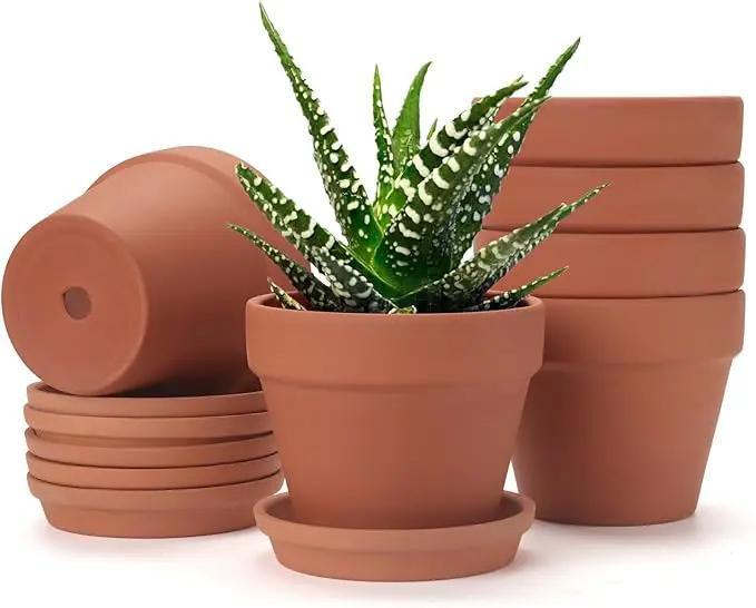 6 PCS Clay pots and Plates, 5-inch red Clay pots with Drainage, Perfect for Indoor, windowsill, and Garden Plants by GreenHaven Gardens