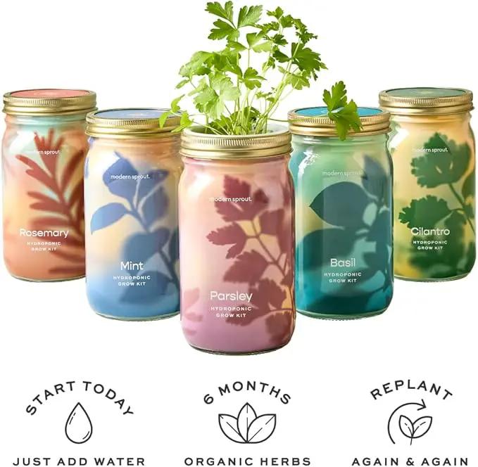 Modern Sprout Mason Garden Jar - Self-Watering Hydroponics Growing System Kit with Organic Herb Seeds - Jar Planter for Indoor Herb Garden - Seed Starter Kit - Home Decor & Gifting - Lavender by GreenHaven Gardens