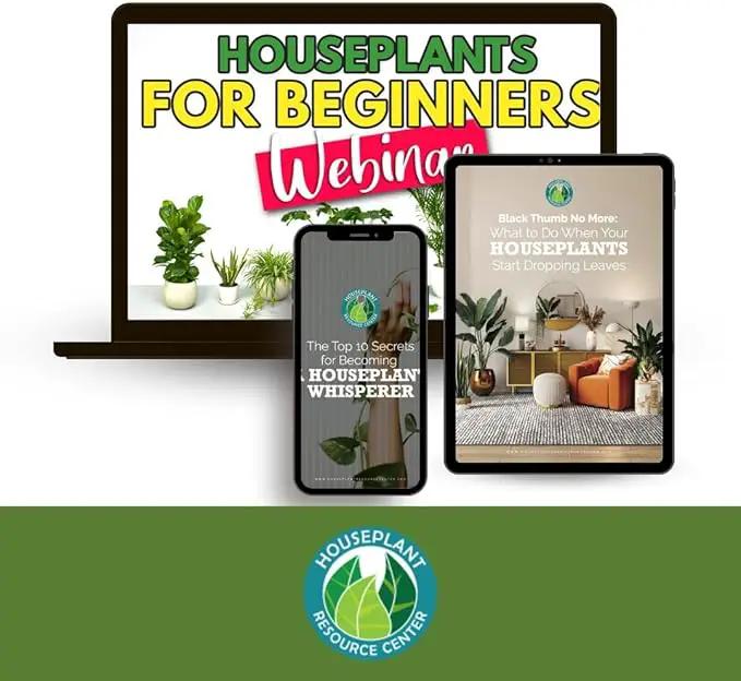 Leaf Cleaner Wipes for House Plants - Sparkling Leaf Shine for Indoor Plants - Houseplant Resource Center Plant Cleaning Wipes for Leaves - Root and Plant Duster Wipes (30 Count) by GreenHaven Gardens