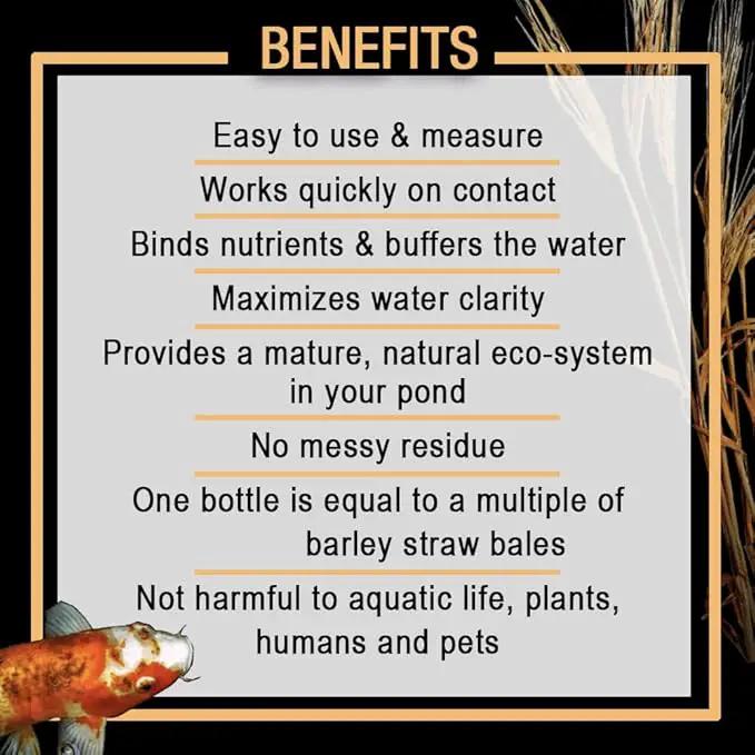 MICROBE-LIFT MLCBSEG4 Concentrated Barley Straw Extract Conditioner for Ponds and Outdoor Water Garden, Safe for Live Koi Fish, Plants, and Decorations, 1 Gallon by GreenHaven Gardens