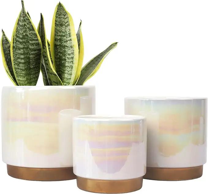 Gepege White Indoor Pots for Plants, Ceramic Planter with Drainage Hole, 6.0 inch+5.0 Inch+4.0 Inch. Succulent Orchid Flower Pot - Rainbow Pearl Glaze by GreenHaven Gardens