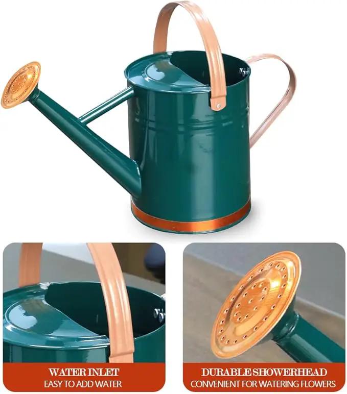 Metal Watering Can, One Gallon Watering Cans Stainless Steel for Outdoor Indoor Garden Plants Watering (One Gallon Green Decorative Strip) by GreenHaven Gardens