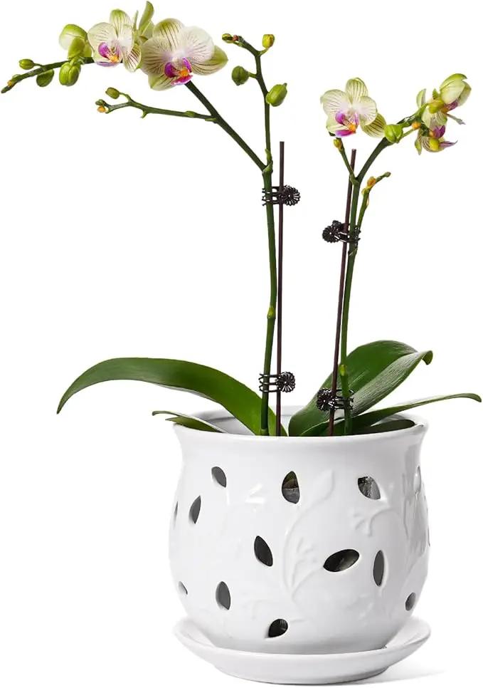 LE TAUCI Ceramic Orchid Pot, 6.5 Inch Orchid Pots with Holes, Orchid Planter for Repotting, Indoor Flower Plant Pot with Drainage and Saucer, White by GreenHaven Gardens