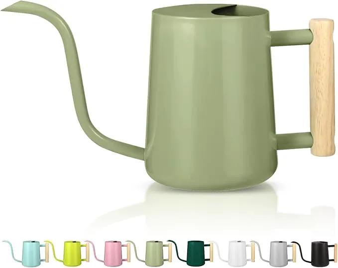 Watering Can Indoor Plants, 35oz Small Watering Can Indoor Stainless Steel Metal Watering Can Modern Decorative Watering Pot with Long Spout for Indoor House Plant Bonsai Garden Flowers (Sage Green) by GreenHaven Gardens