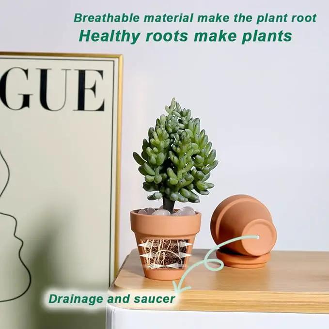 vensovo 48 Pcs 2" Tiny Terracotta & Terra Cotta Pots with Drainage - Small Mini Clay Ceramic Pottery Planter Ideal for Indoor/Outdoor Plants, Crafts, Wedding Favors by GreenHaven Gardens