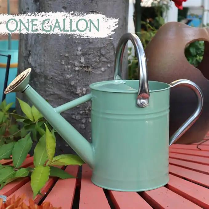 Metal Watering Can, One Gallon Watering Cans Stainless Steel for Outdoor Indoor Garden Plants Watering (Cream Green) by GreenHaven Gardens