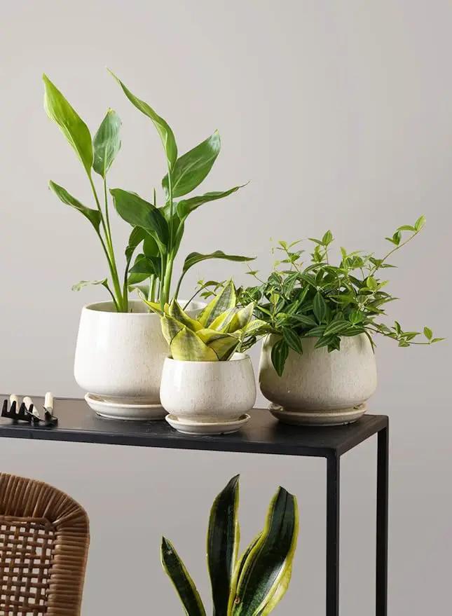 LE TAUCI Plant Pots, 4.1+5.1+6.5 inch, Set of 3, Ceramic Planters with Drainage Hole and Saucer, Indoor Flower Pot with Hole Mesh Pad, Gifts for Mom, Reactive Glaze Beige by GreenHaven Gardens