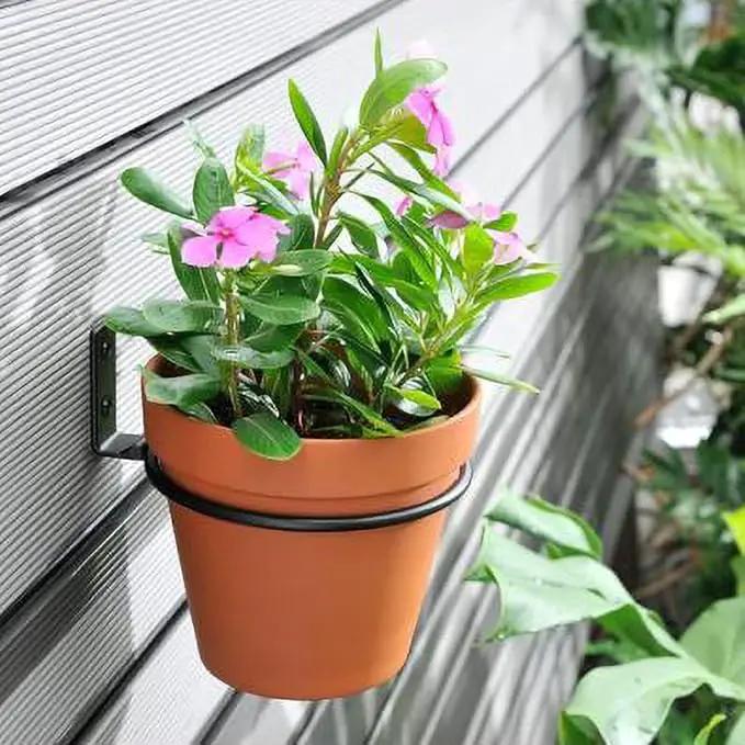4 Pack 8in Flower Pot Holder Ring Wall Mounted Metal Planter Hooks Hangers Wall Bracket Wall Planter Hook (4, 8") by GreenHaven Gardens