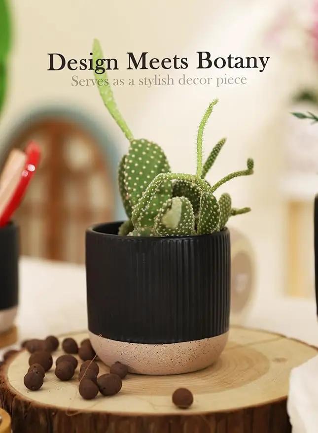 AOMRYOM 4 Inch Small Ceramic Plant Pots with Drainage Hole and Saucer, Modern Flower Planter for Succulent, Indoor Plants, Cactus, Herbs, Black, Set of 4 (Plant Not Included) by GreenHaven Gardens