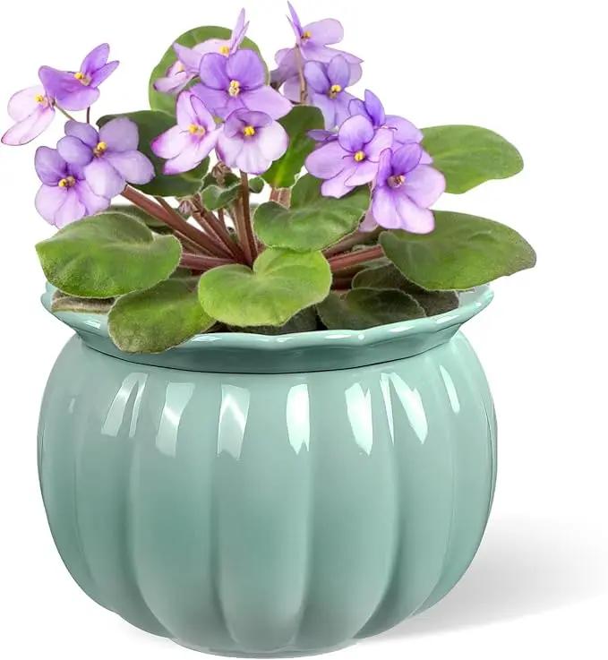 African Violet Pots, 6 inch Pumpkin-Style Ceramic Easy Self Watering Plant Pot for Busy Plant Lovers, Automatically Absorb Appropriate Amount of Water, Flower Pot Indoor-Plants Not Included by GreenHaven Gardens