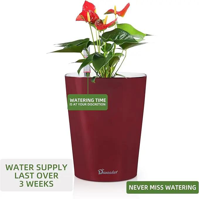 Dexceder 6x7 Self Watering Planter Indoor Outdoor, High Gloss Table Flower Plant Pot with Water Level Indicator (Wine Red) by GreenHaven Gardens
