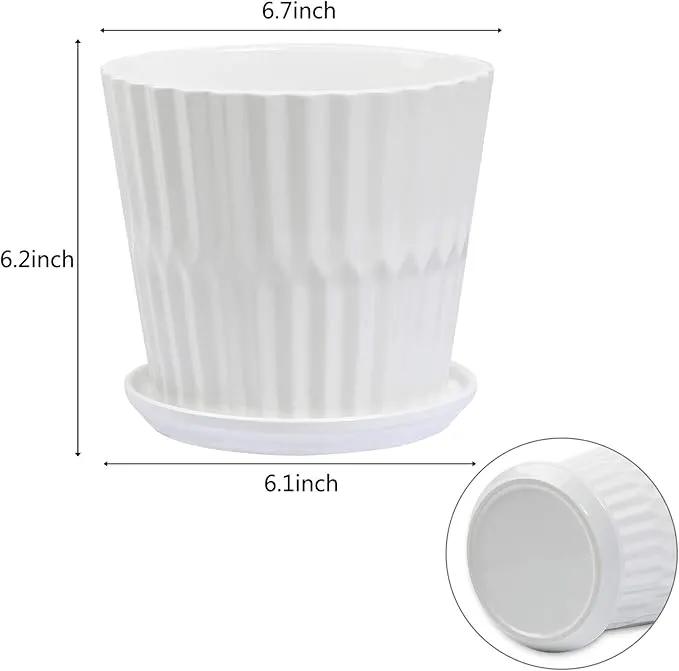 Plant Pots - 6.7 Inch Cylinder Ceramic Planters with Connected Saucer, Pots for Succuelnt and Little Snake Plants, Set of 2, White by GreenHaven Gardens