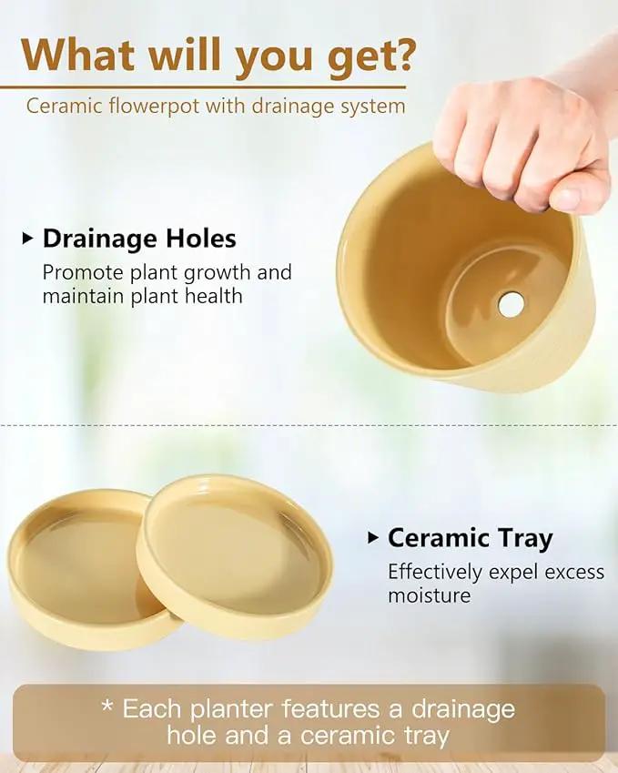 Ceramic Plant Pots –5 inch Indoor Flower Pot with Drainage Hole and Ceramic Tray - Gardening Home Desktop Office Windowsill Decoration Gift, Set of 4-Plants NOT Included(Yellow) by GreenHaven Gardens