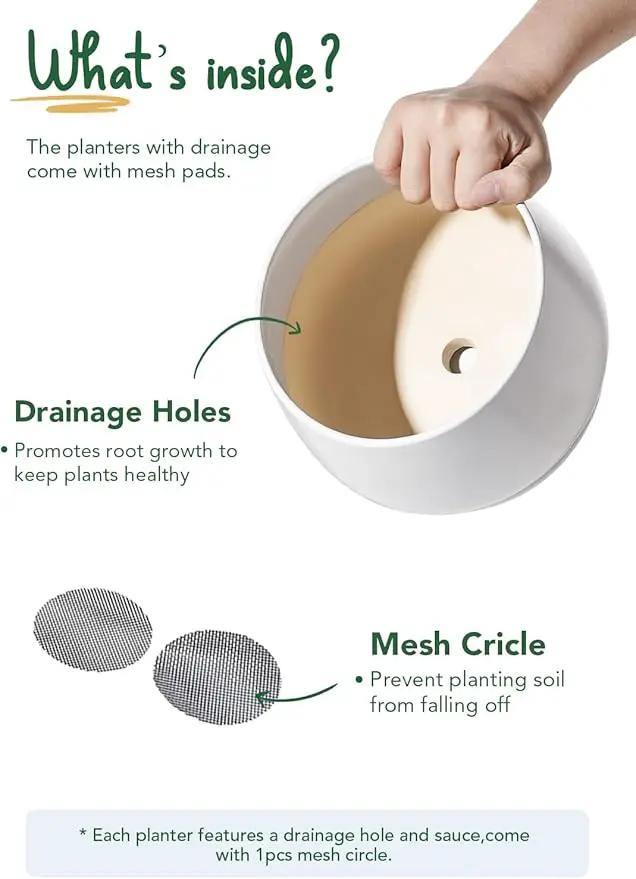 LE TAUCI Ceramic Plant Pots, 4.1+5.1+6.5 inch, Set of 3, Planters with Drainage Hole and Saucer, Indoor Flower Pot with Hole Mesh Pad, Gifts for Mom, White by GreenHaven Gardens