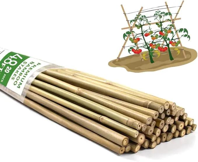 Bamboo Stakes,4.8FT Natural Bamboo Garden Stakes,BOVITRO 20Pcs Bamboo Plant Stakes,Bamboo Sticks for Tomato,Beans,Vegetable and Climbing Plants by GreenHaven Gardens