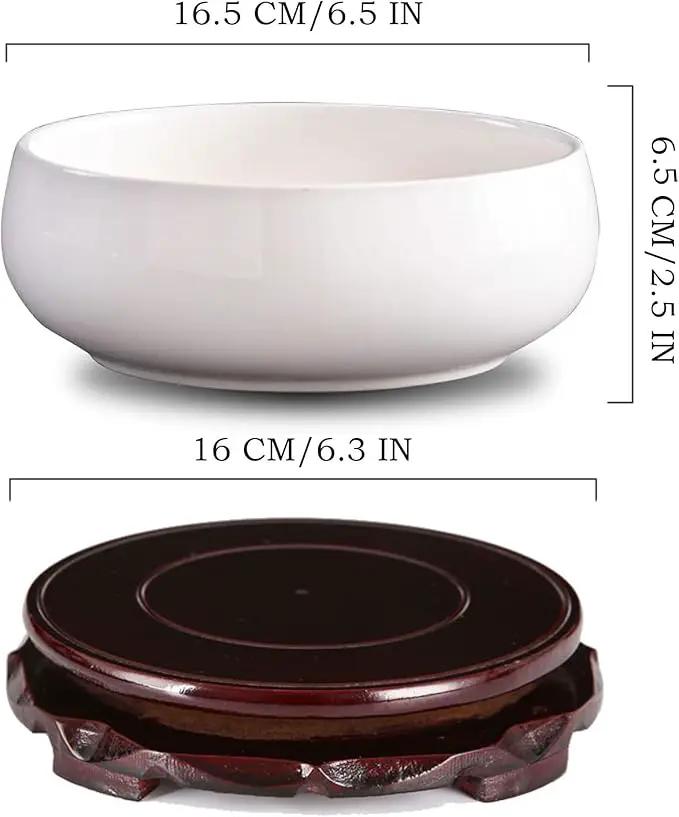 Lotus Bowl Planter, Lotus Bowls for Planting in Water Indoors,6.5-inch Round Succulent Flower Pot with Rotating Bracket, Leak-Proof Design, Suitable for hydroponic Plants, Succulents (White) by GreenHaven Gardens