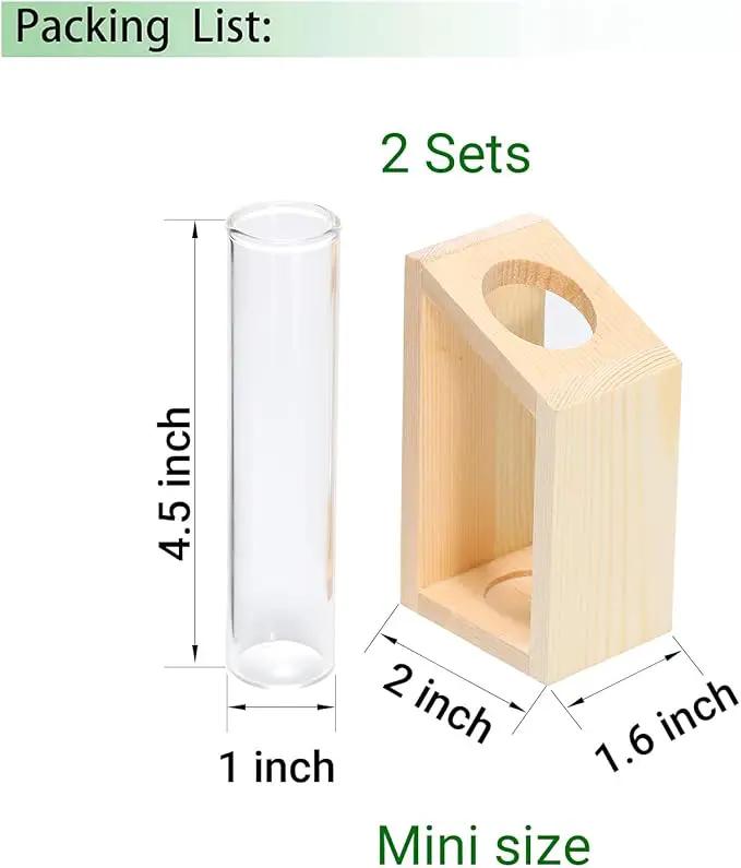 Ivolador Plant Propagation Station, Plant Propagation Tubes,Gifts for Plant Lovers,Plants Cutting Holder Office Desk Garden Décor Gifts for Mom Women Hydroponic Vase Gift Box by GreenHaven Gardens