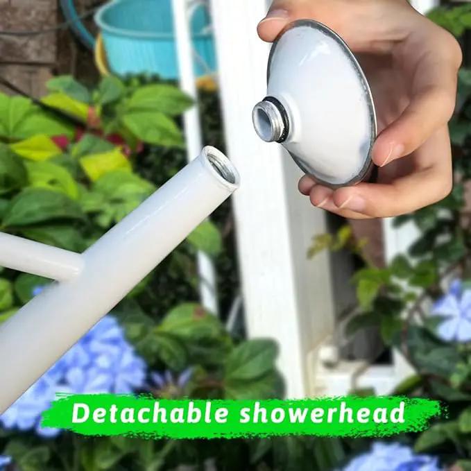 Metal Watering Can for Outdoor and Indoor Plants, Watering Can Decor, 1 Gallon (Virgo) by GreenHaven Gardens