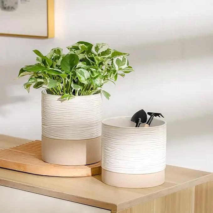 Nihow Ceramic Plant Pot: 6 Inch Planter with Drainage Hole & Saucer for Indoor & Outdoor Plants - Cylinder Round Flower Pot for Succulent/Herbs/Violets - Cream White & Brown by GreenHaven Gardens